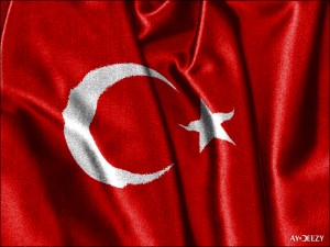 türk bayrağı türk bayrak